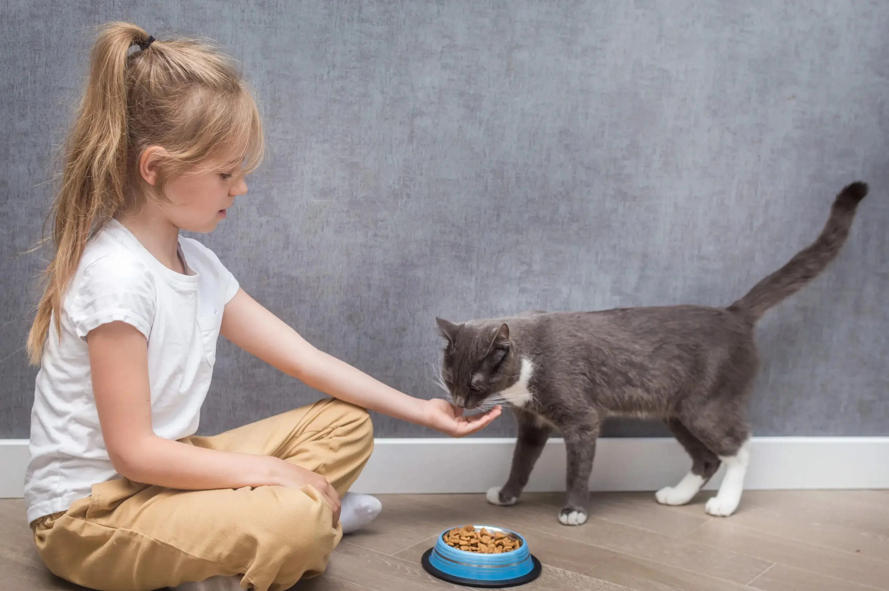 A volunteer playing with kittens